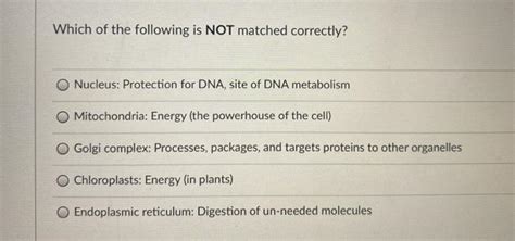 Which Of The Following Is Not Matched Correctly