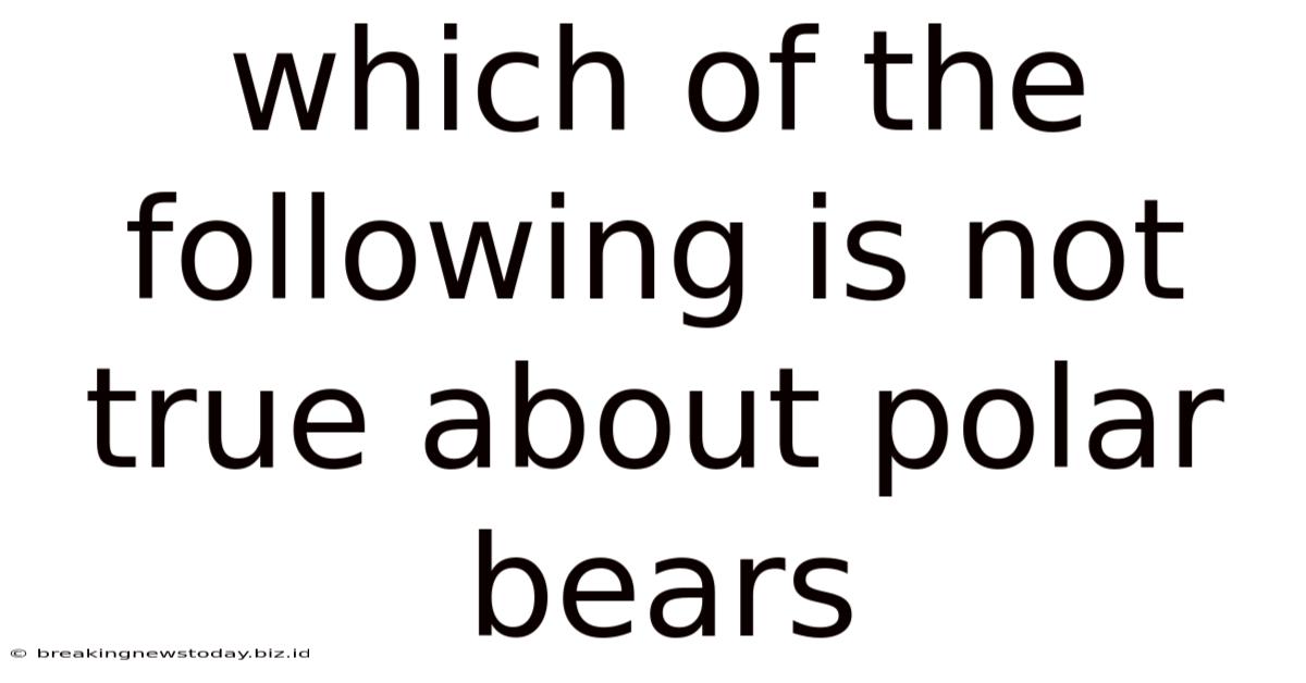 Which Of The Following Is Not True About Polar Bears