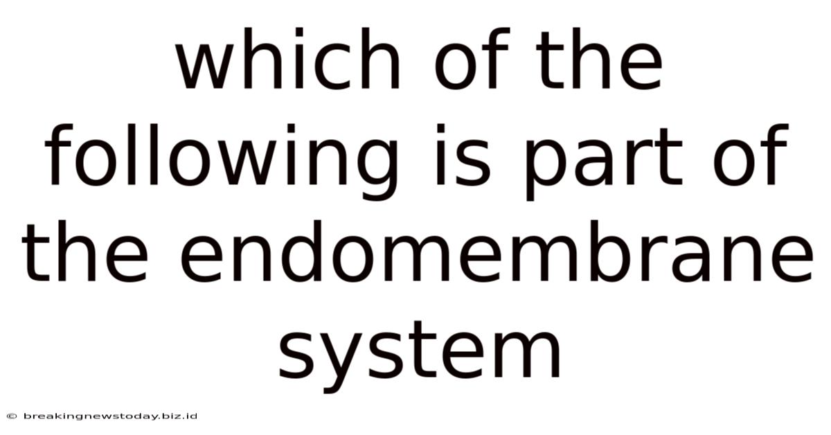 Which Of The Following Is Part Of The Endomembrane System