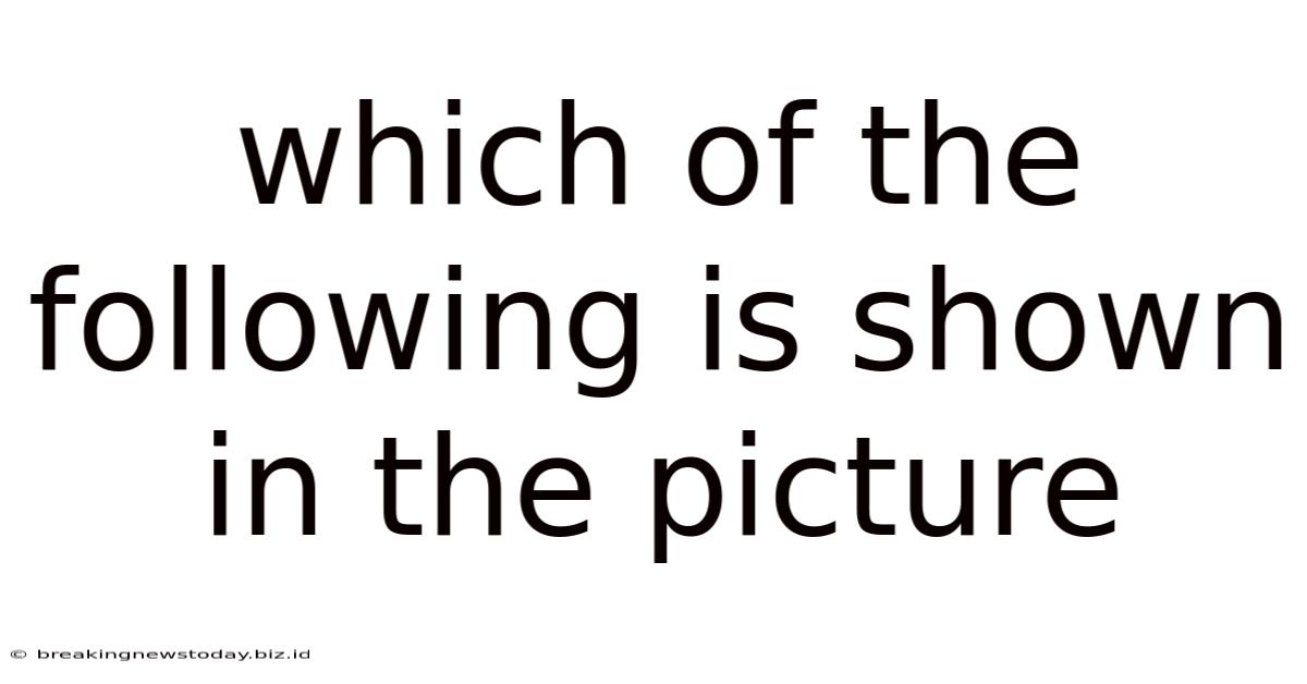 Which Of The Following Is Shown In The Picture