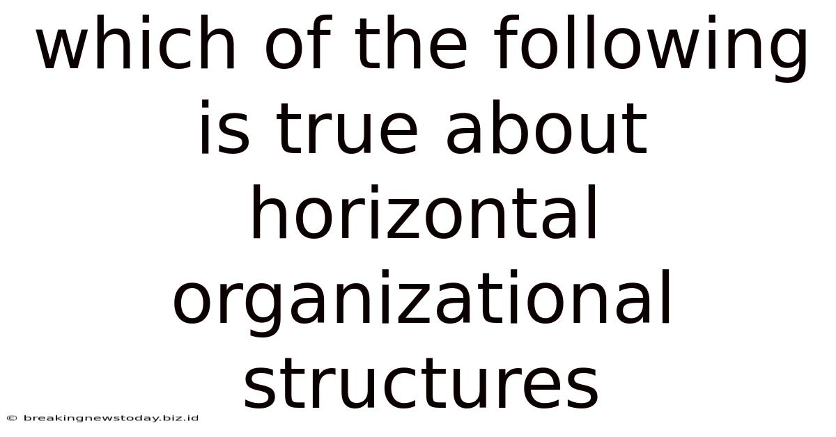 Which Of The Following Is True About Horizontal Organizational Structures