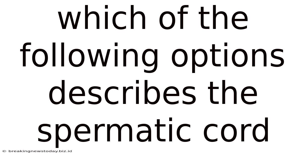 Which Of The Following Options Describes The Spermatic Cord