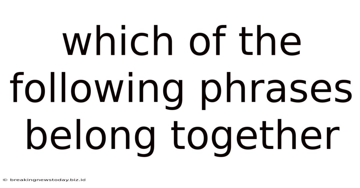 Which Of The Following Phrases Belong Together