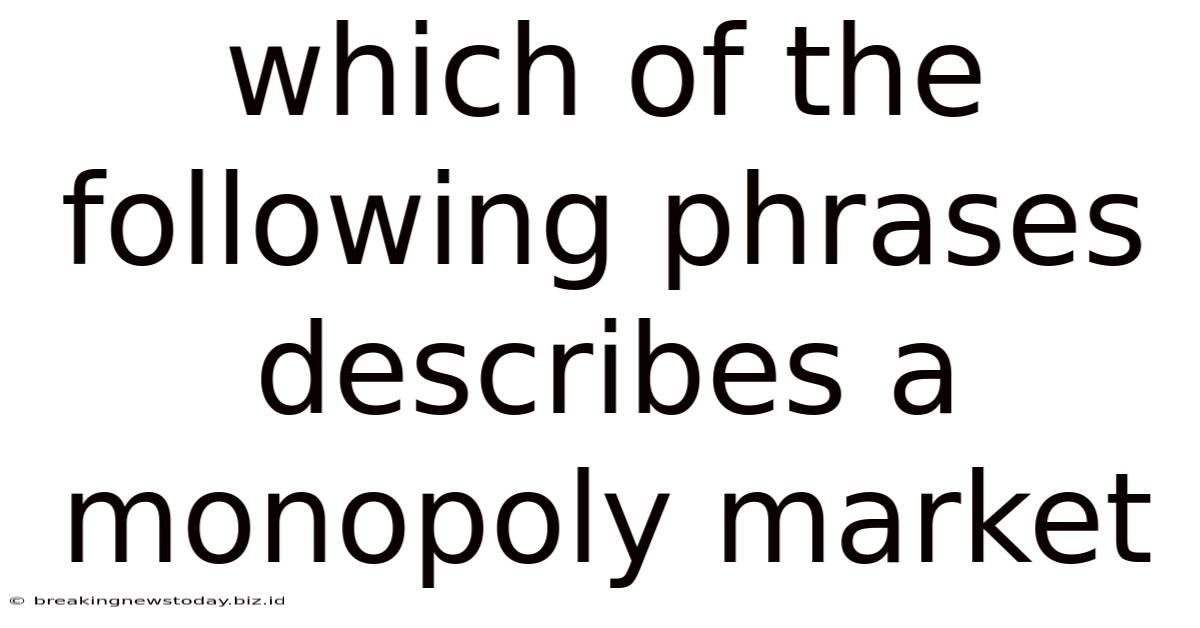 Which Of The Following Phrases Describes A Monopoly Market