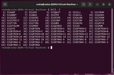 Which Of The Following Represents A Signal In Linux