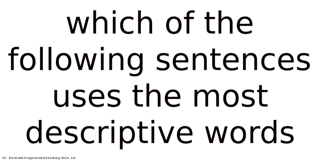 Which Of The Following Sentences Uses The Most Descriptive Words