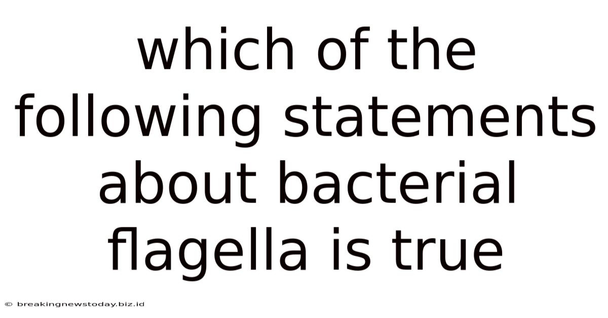 Which Of The Following Statements About Bacterial Flagella Is True