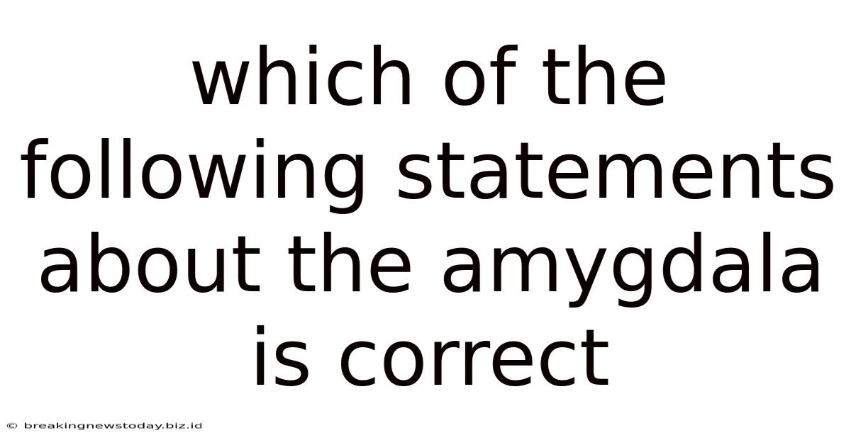 Which Of The Following Statements About The Amygdala Is Correct