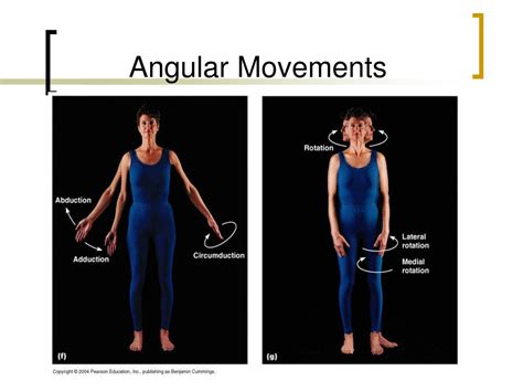 Which Of The Following Statements Best Describes Angular Movements