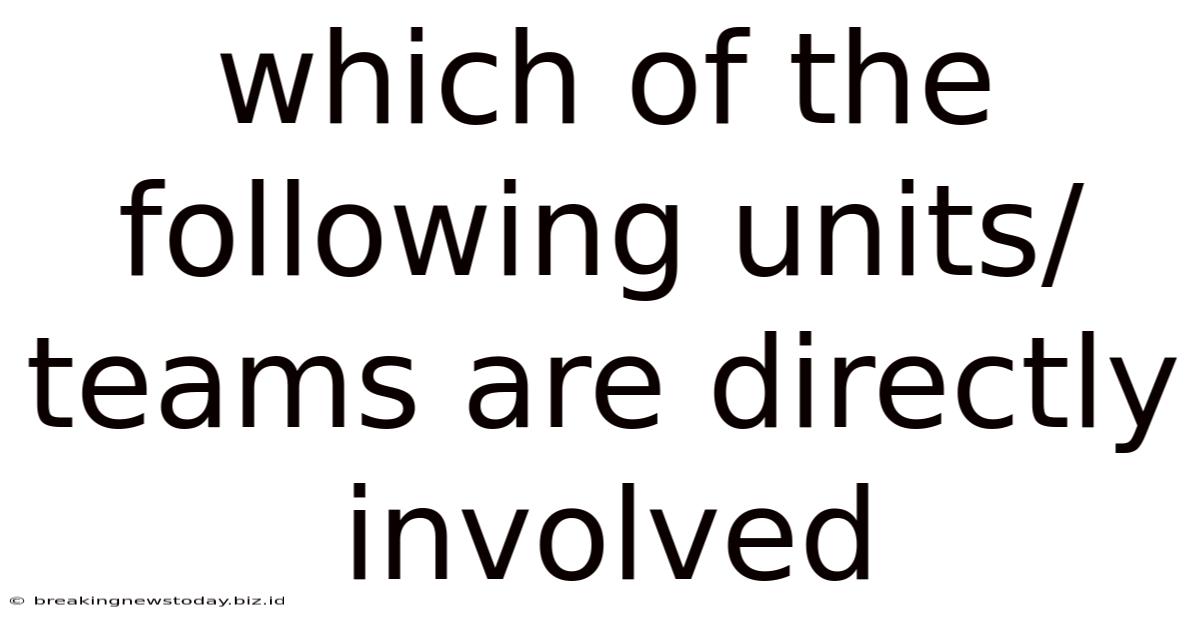 Which Of The Following Units/teams Are Directly Involved