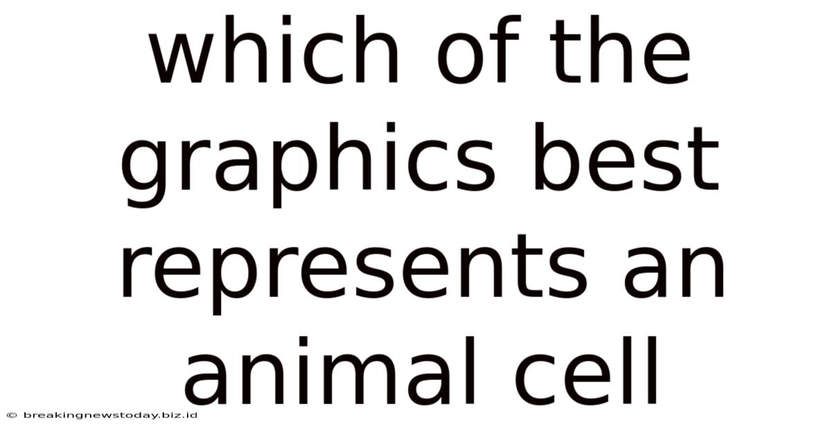 Which Of The Graphics Best Represents An Animal Cell