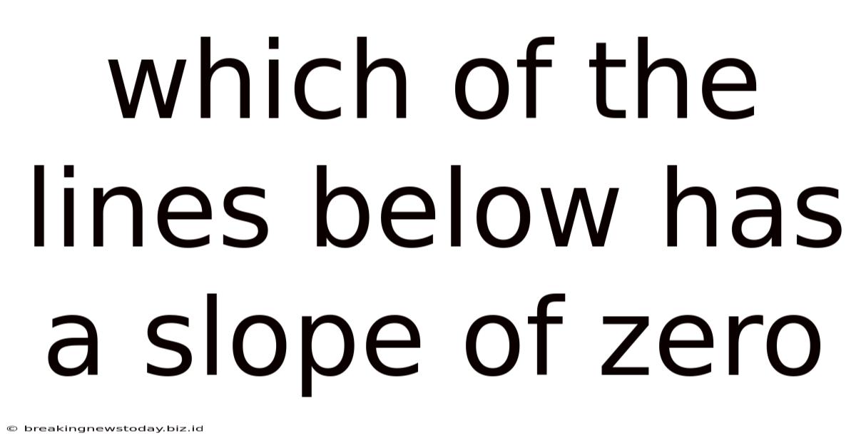 Which Of The Lines Below Has A Slope Of Zero