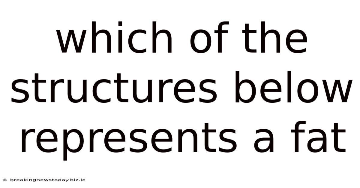 Which Of The Structures Below Represents A Fat