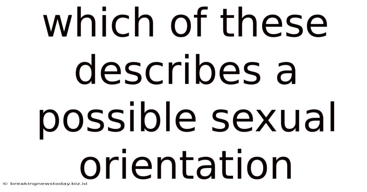 Which Of These Describes A Possible Sexual Orientation