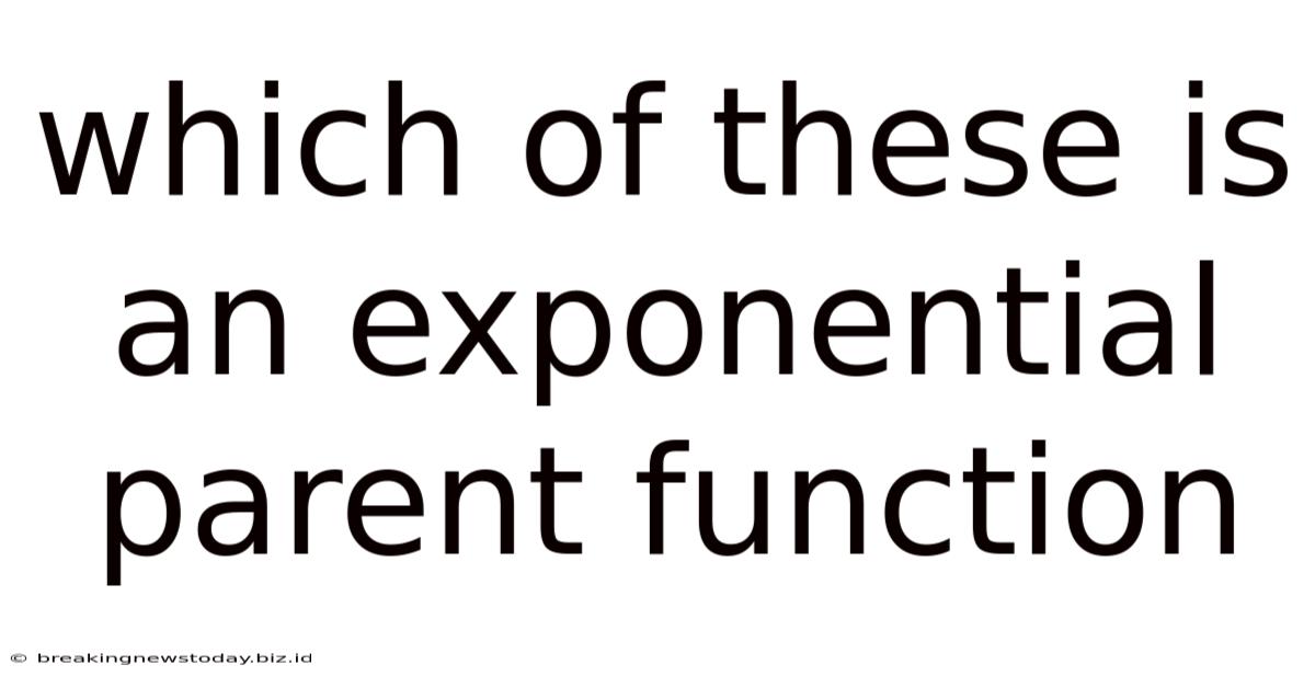 Which Of These Is An Exponential Parent Function