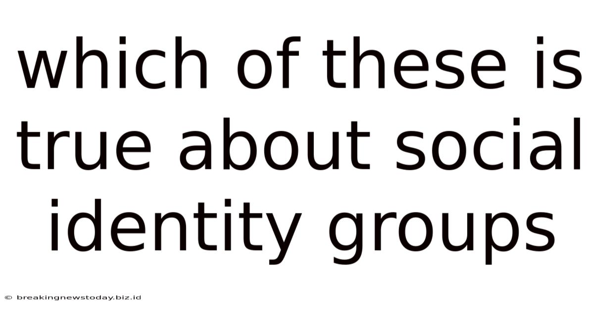 Which Of These Is True About Social Identity Groups