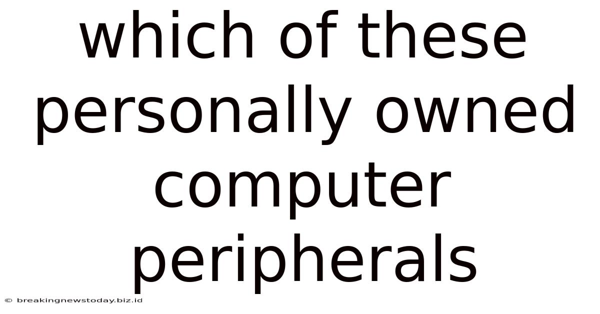 Which Of These Personally Owned Computer Peripherals