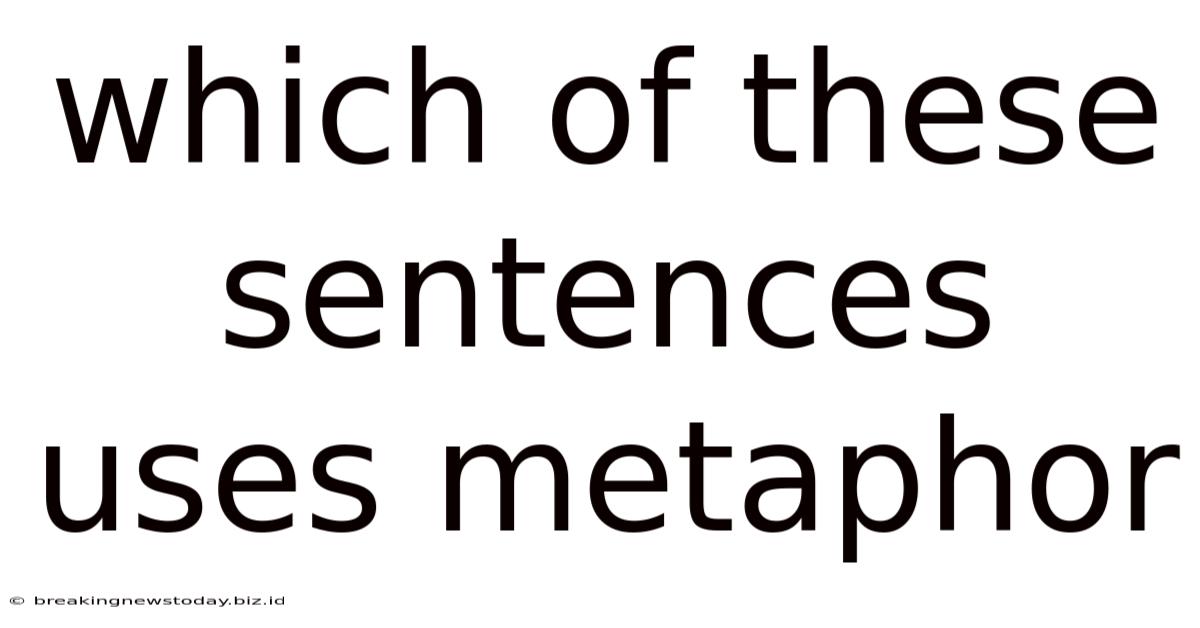 Which Of These Sentences Uses Metaphor