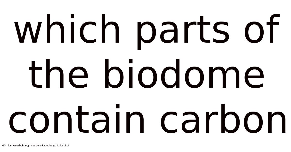 Which Parts Of The Biodome Contain Carbon