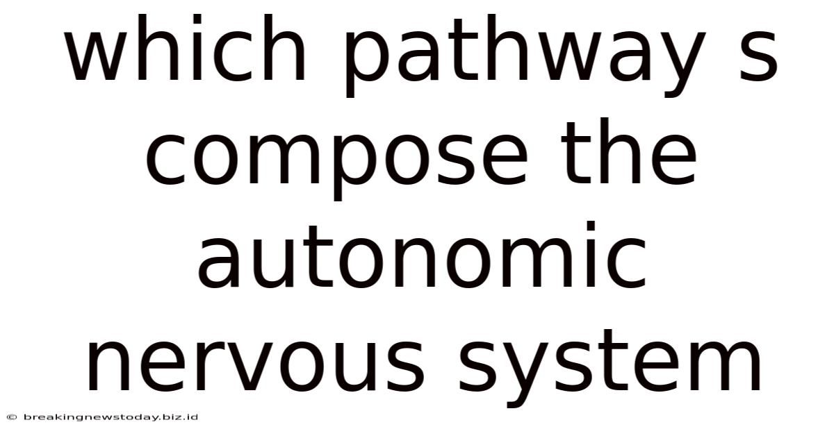 Which Pathway S Compose The Autonomic Nervous System
