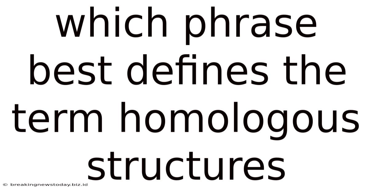 Which Phrase Best Defines The Term Homologous Structures