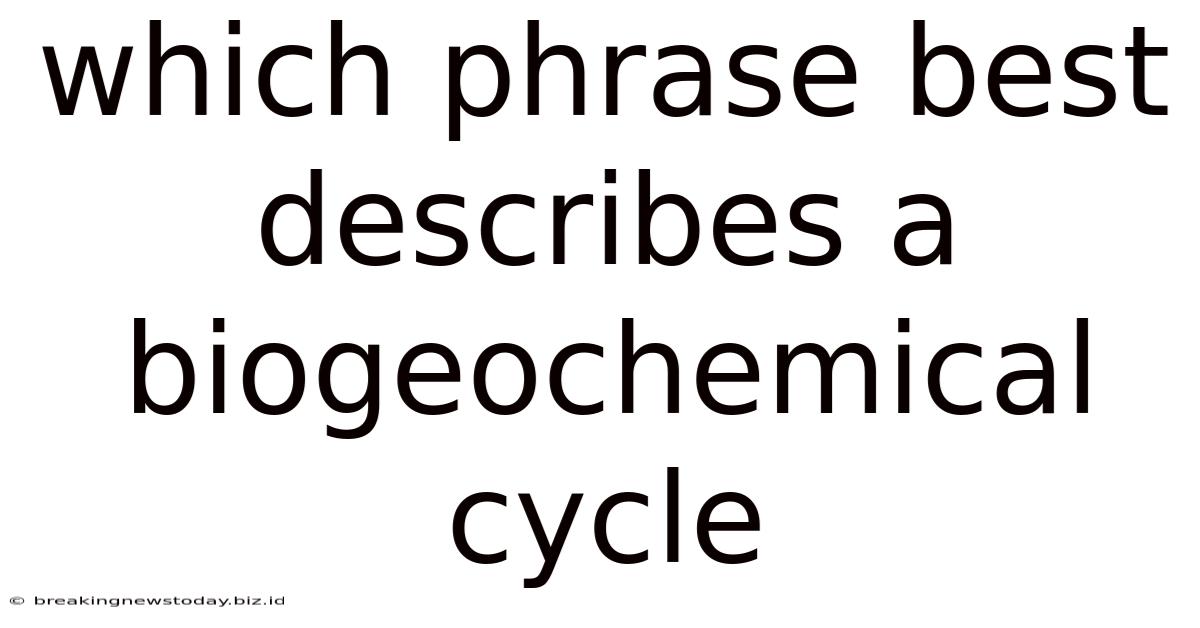 Which Phrase Best Describes A Biogeochemical Cycle