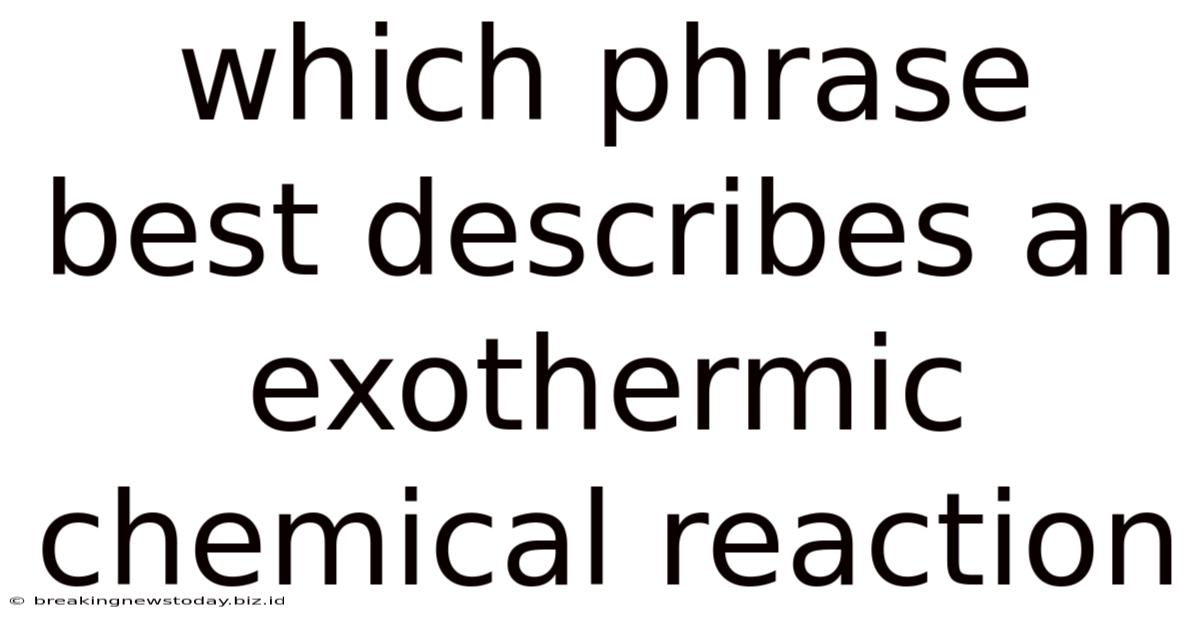 Which Phrase Best Describes An Exothermic Chemical Reaction
