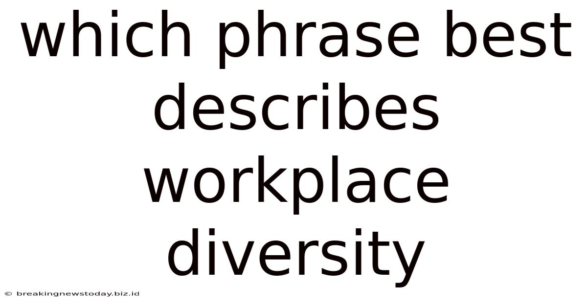 Which Phrase Best Describes Workplace Diversity