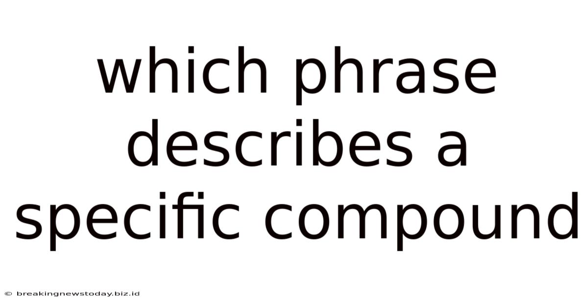 Which Phrase Describes A Specific Compound