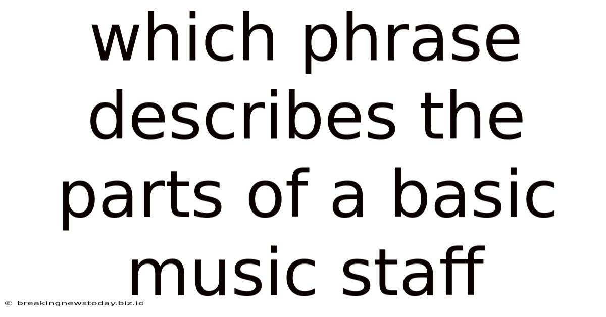 Which Phrase Describes The Parts Of A Basic Music Staff