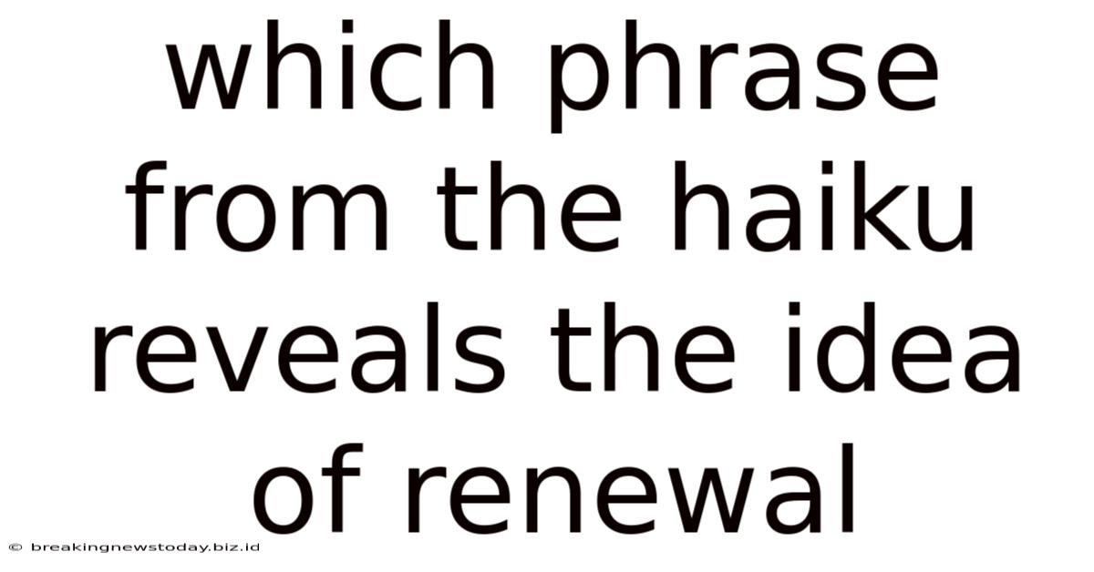 Which Phrase From The Haiku Reveals The Idea Of Renewal