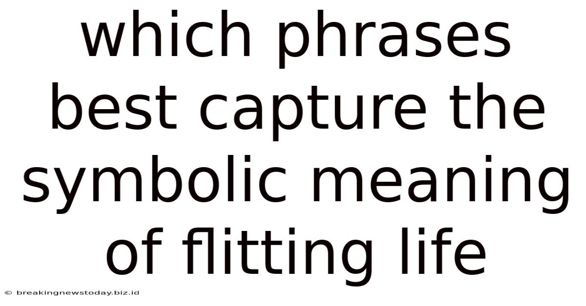 Which Phrases Best Capture The Symbolic Meaning Of Flitting Life