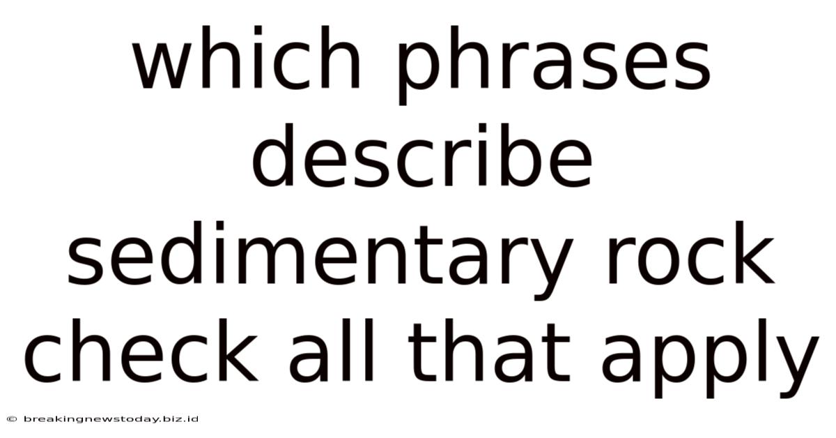 Which Phrases Describe Sedimentary Rock Check All That Apply