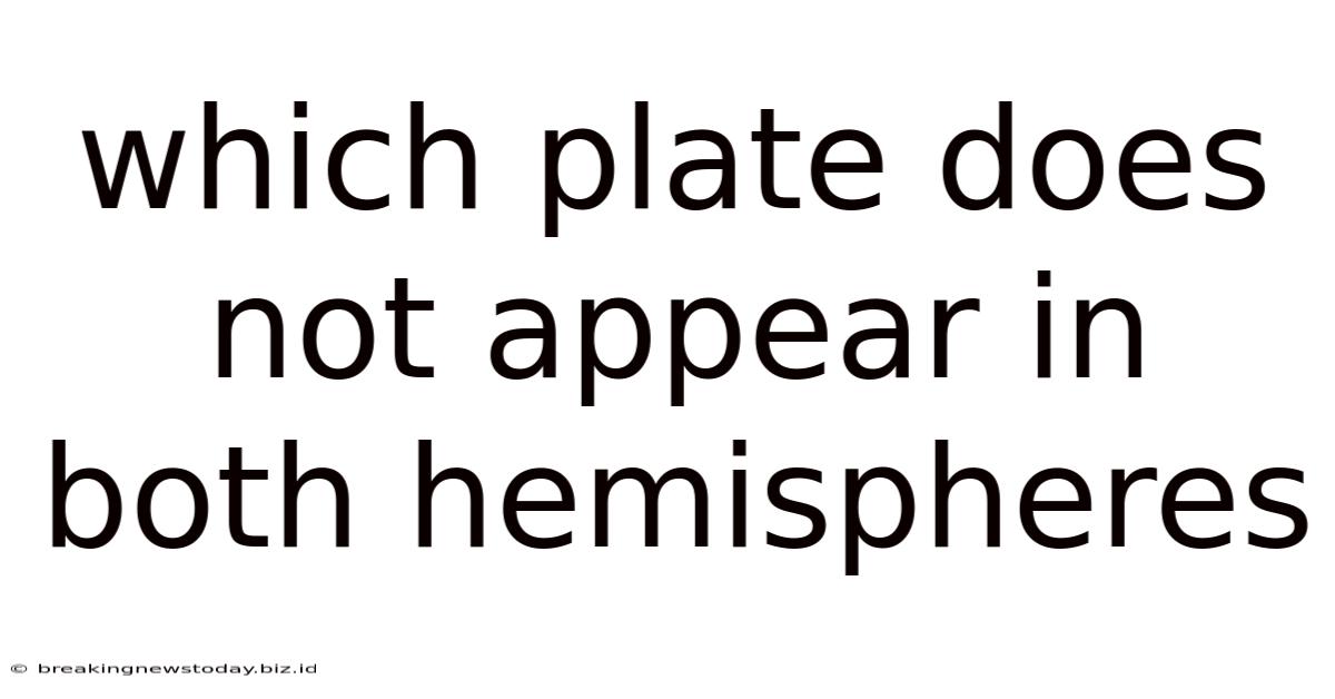Which Plate Does Not Appear In Both Hemispheres