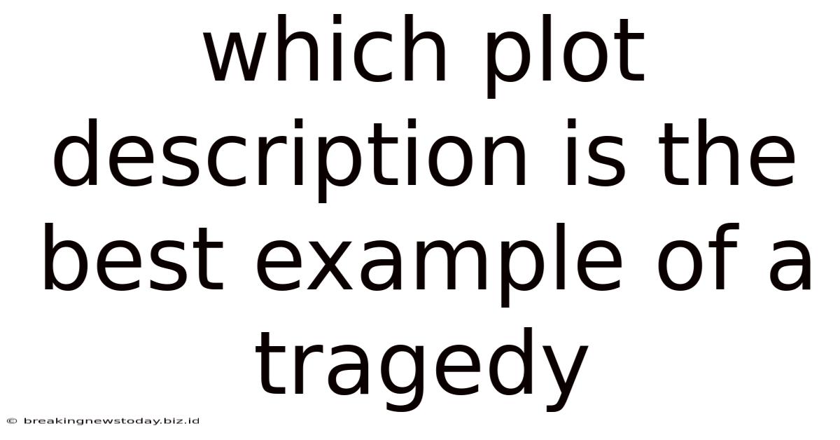 Which Plot Description Is The Best Example Of A Tragedy