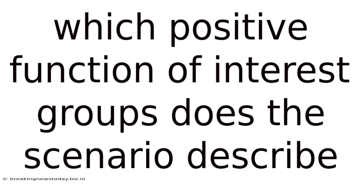 Which Positive Function Of Interest Groups Does The Scenario Describe
