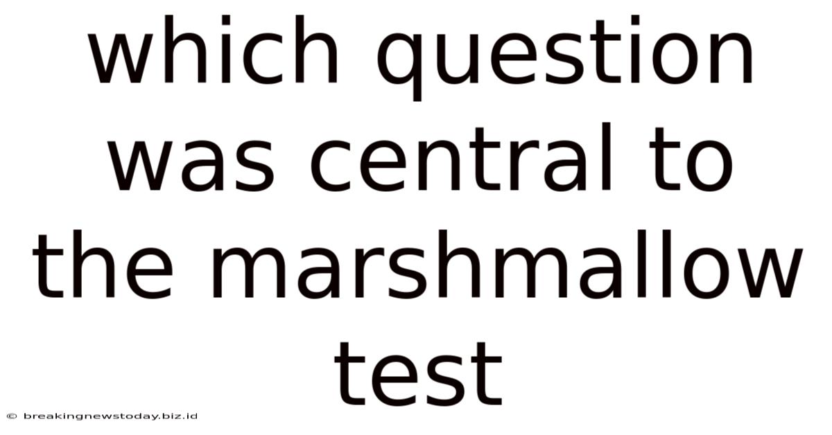 Which Question Was Central To The Marshmallow Test