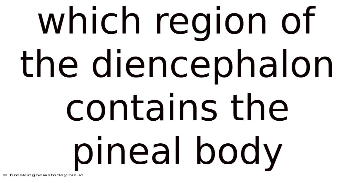 Which Region Of The Diencephalon Contains The Pineal Body