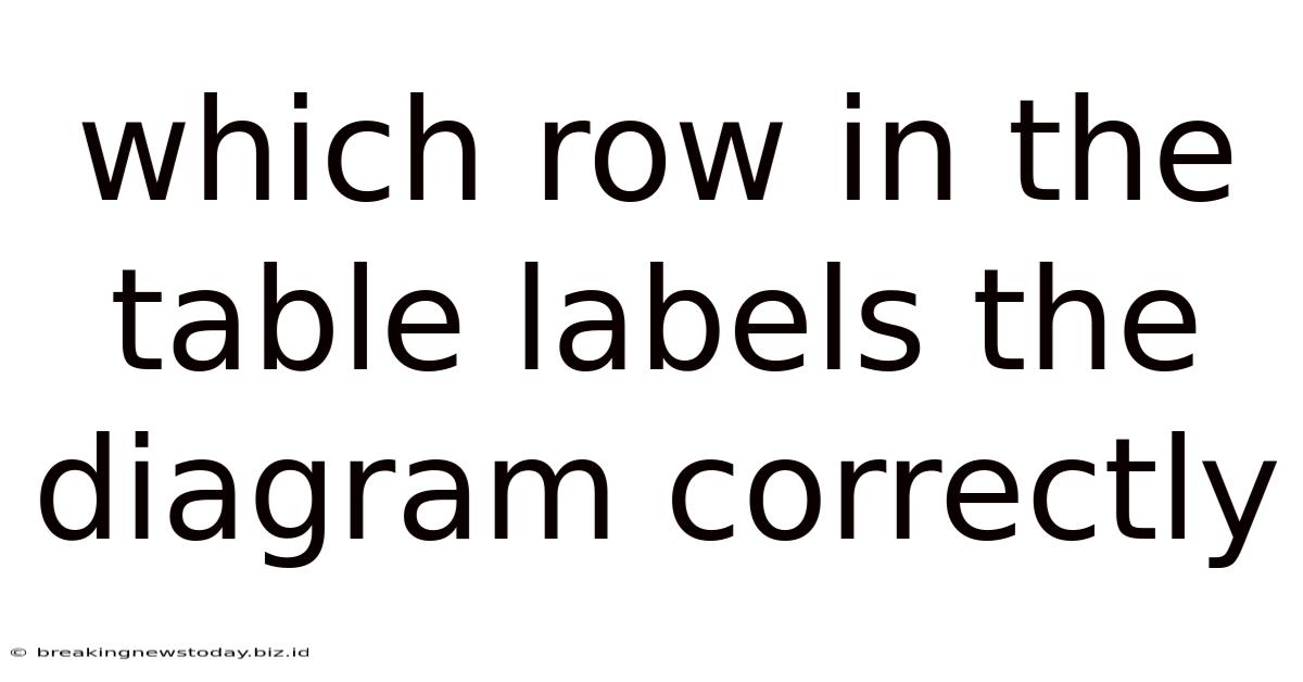Which Row In The Table Labels The Diagram Correctly