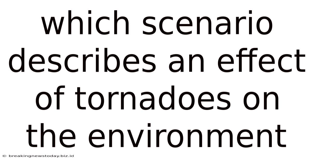 Which Scenario Describes An Effect Of Tornadoes On The Environment