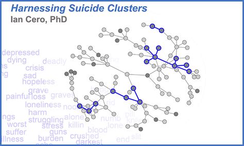 Which Sentence About Cluster Suicides Is True