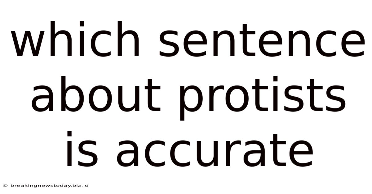 Which Sentence About Protists Is Accurate
