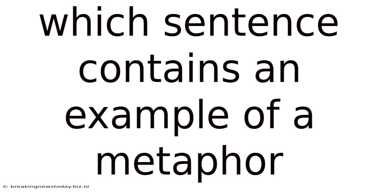 Which Sentence Contains An Example Of A Metaphor