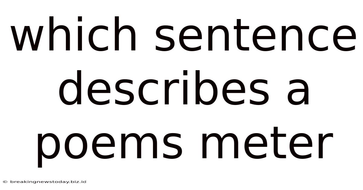 Which Sentence Describes A Poems Meter