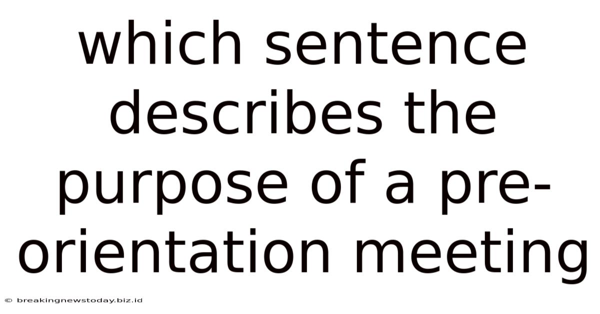 Which Sentence Describes The Purpose Of A Pre-orientation Meeting