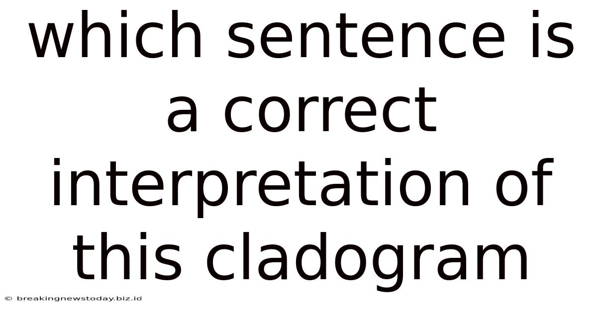 Which Sentence Is A Correct Interpretation Of This Cladogram