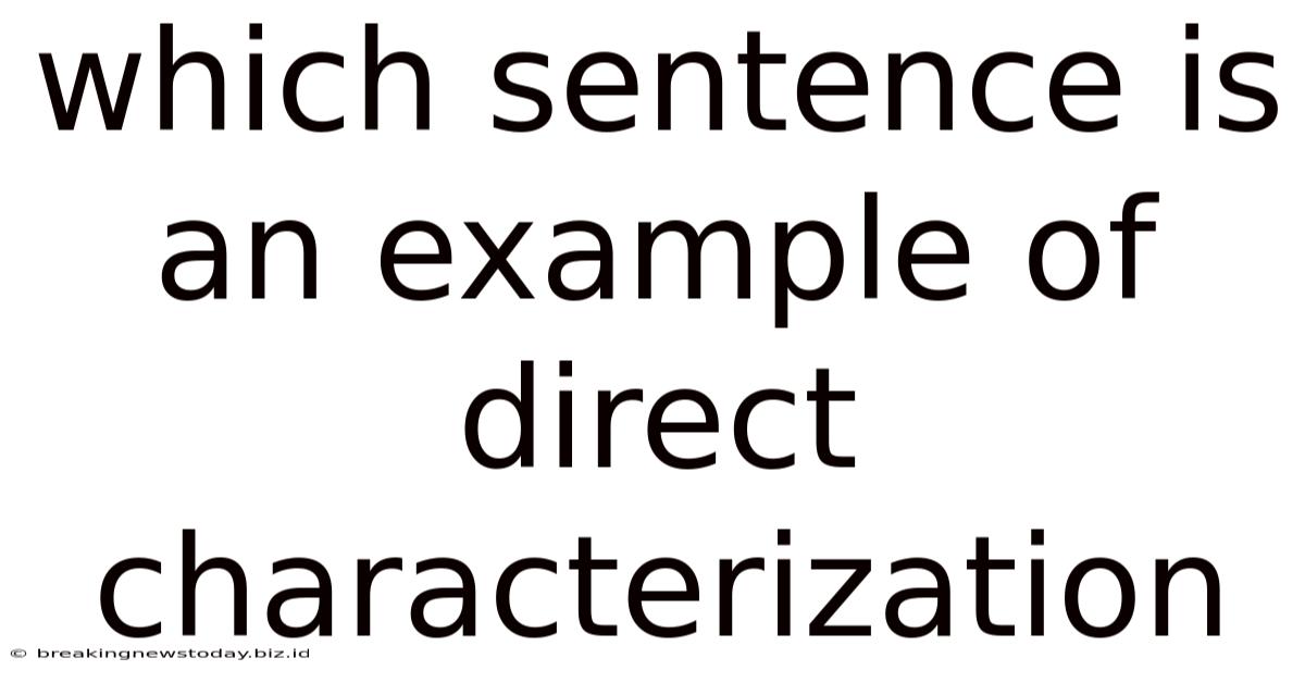 Which Sentence Is An Example Of Direct Characterization