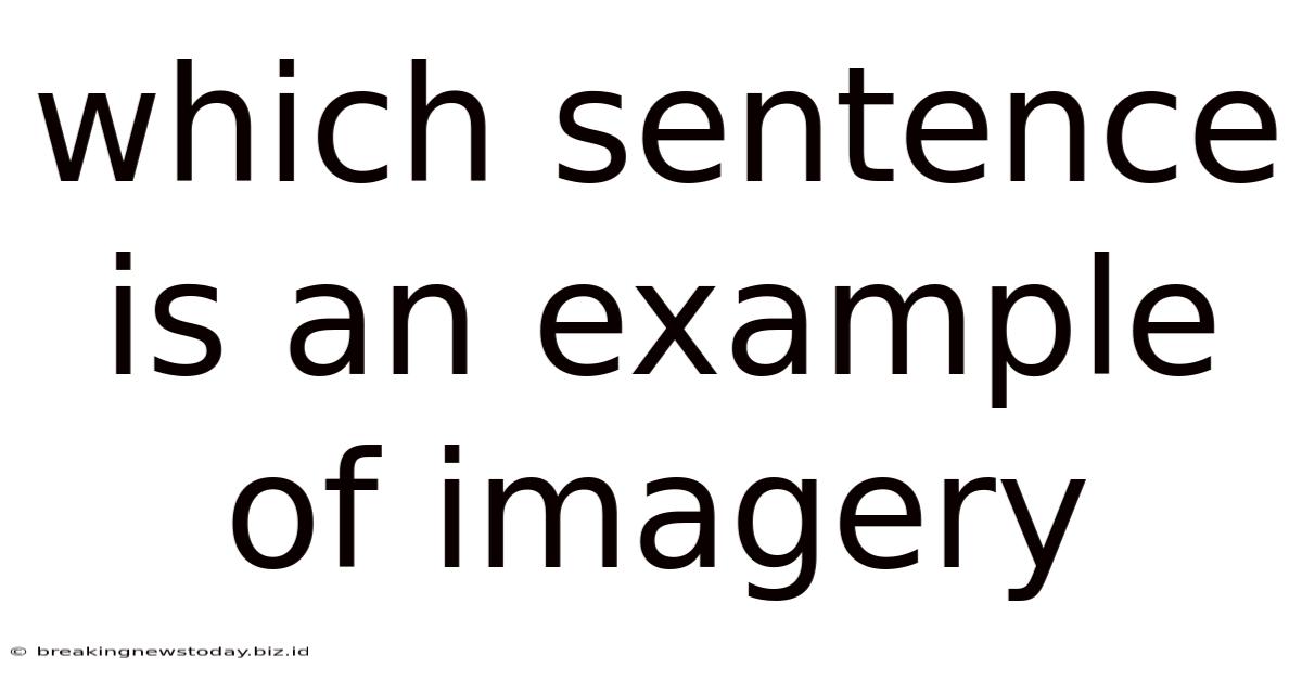 Which Sentence Is An Example Of Imagery