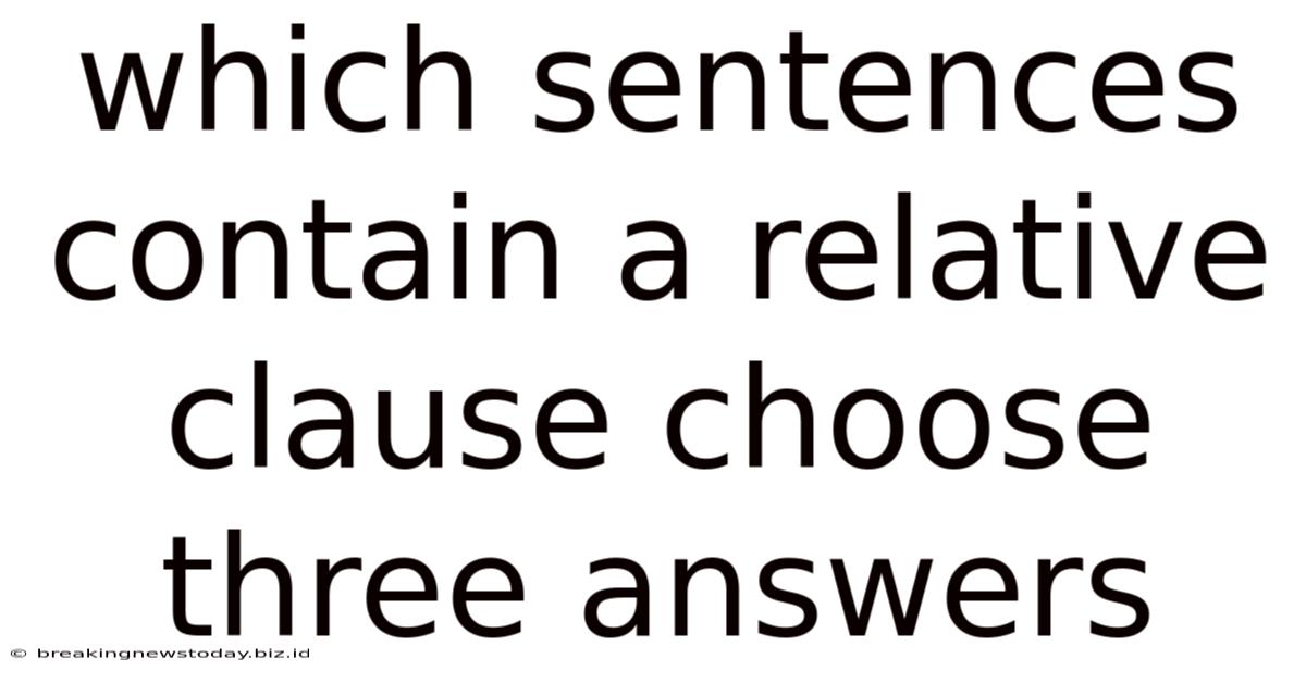 Which Sentences Contain A Relative Clause Choose Three Answers