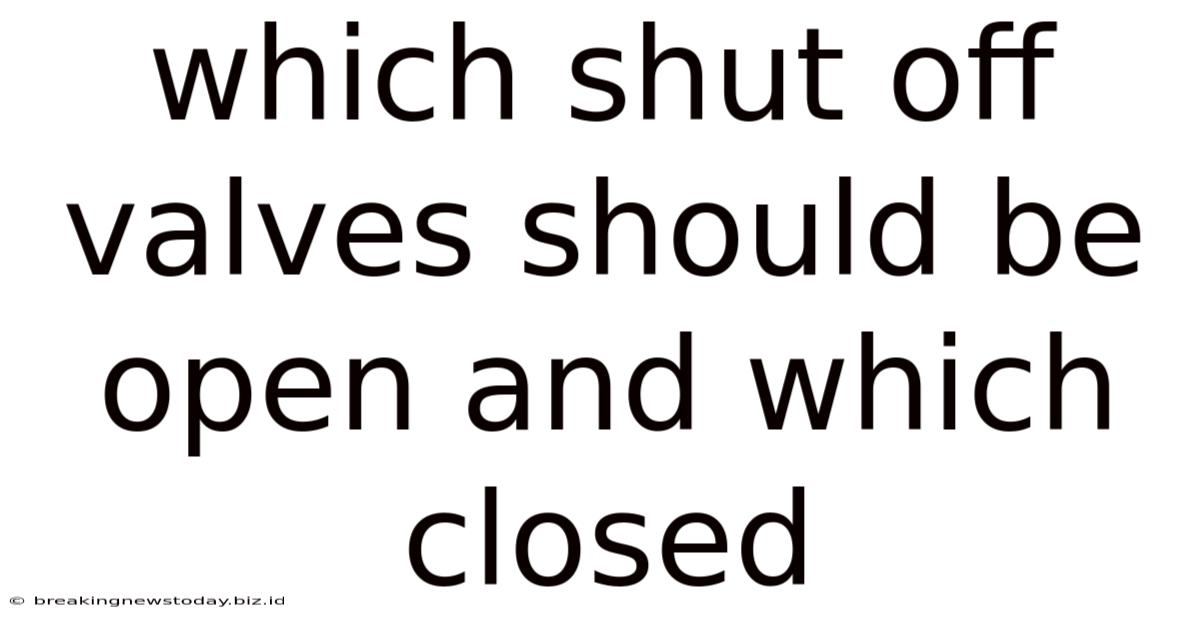 Which Shut Off Valves Should Be Open And Which Closed